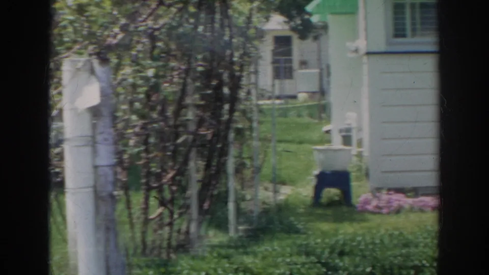 Norfolk residential yard in 1966, showing the side of a white house, porch area, flowers, trees, and a basin on a blue stool.
