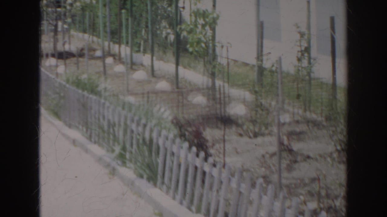 1966 Norfolk home-movie frame showing a sunlit garden bed beside a short white picket fence and narrow walkway.