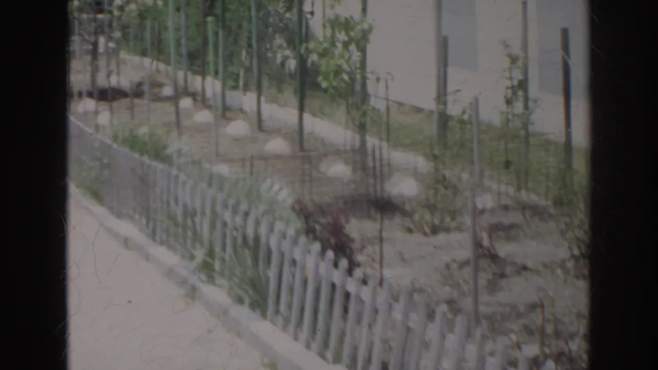 1966 Norfolk home-movie frame showing a sunlit garden bed beside a short white picket fence and narrow walkway.