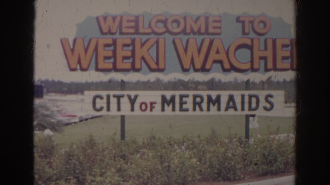 Weeki Wachee welcome sign with shrubs, lawn, and distant trees.