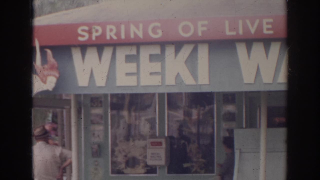 Storefront sign reading Spring of Live Mermaids and Weeki Wachee with a person at the sidewalk edge.