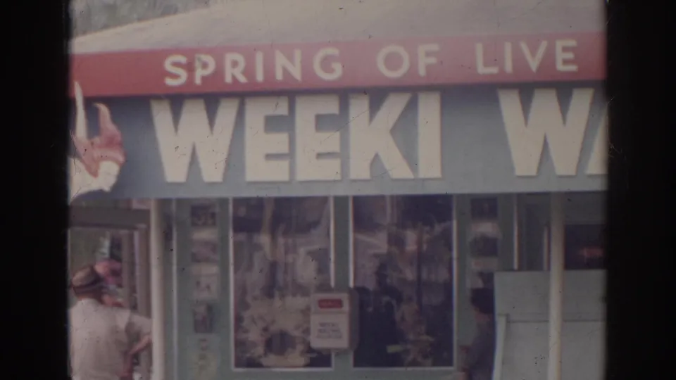 1966 Norfolk storefront view with Weeki Wachee and Spring of Live Mermaids signage, display windows, and a passerby near the left edge.