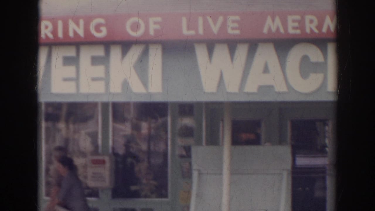 Weeki Wachee storefront signage with display windows and a pedestrian passing in front.