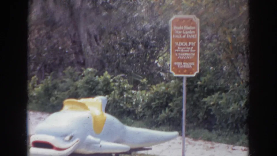 A white dolphin statue with a yellow saddle appears near a Weeki Wachee Star Garden Hall of Fame sign for Adolph.