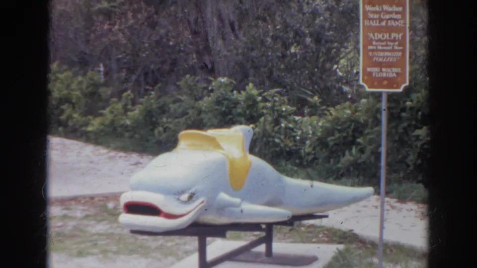 The white dolphin statue with yellow saddle is framed next to the Weeki Wachee Hall of Fame sign and garden path.