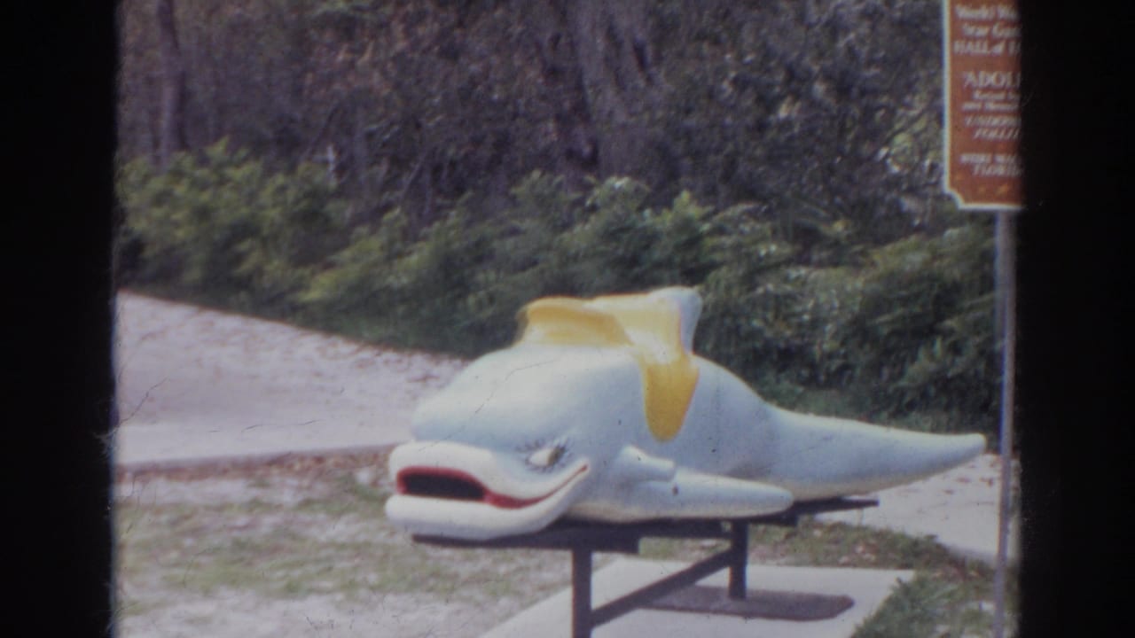 1966 Norfolk-area home-movie frame showing a painted dolphin cutout with a yellow fin near a walkway and wooded backdrop.