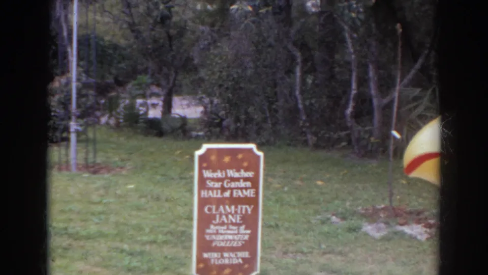 The Calamity Jane Weeki Wachee Hall of Fame sign is framed low on a lawn, with trees and a partial yellow sculpture nearby.