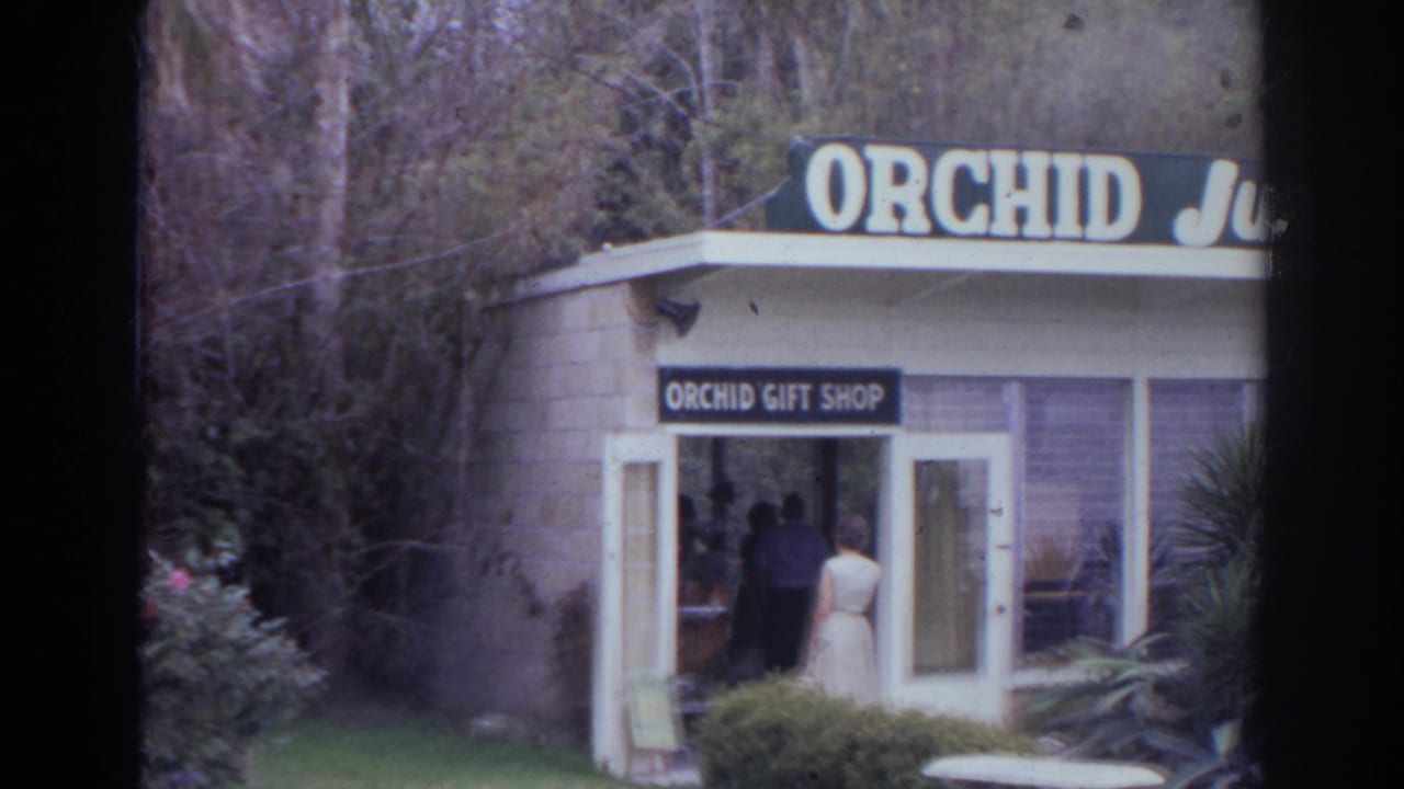 Orchid Gift Shop facade at Orchid Jungle Gardens in Norfolk, Virginia, with open entrance doors and surrounding plants.