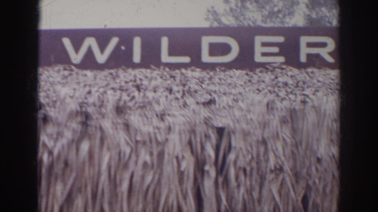 Close 1966 Norfolk home-movie view of large Wilderness lettering, with soft focus and dark vertical film edges.