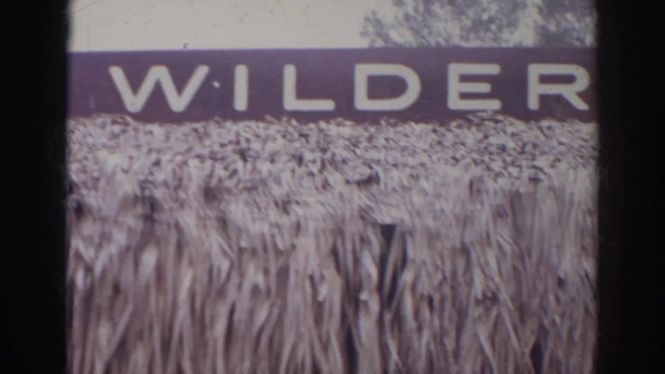 Close 1966 Norfolk home-movie view of large Wilderness lettering, with soft focus and dark vertical film edges.