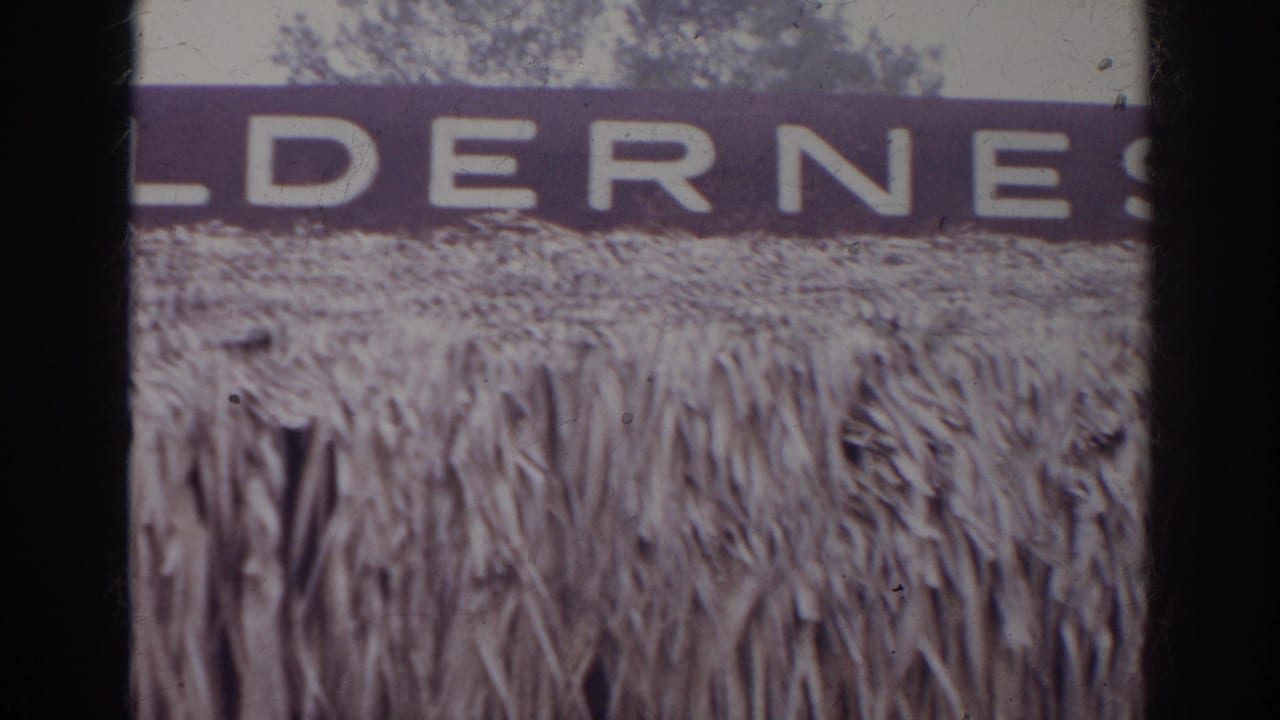 Norfolk, Virginia 1966 close-up of the Wilderness sign area, cropped by the home-movie frame and dark film edge.
