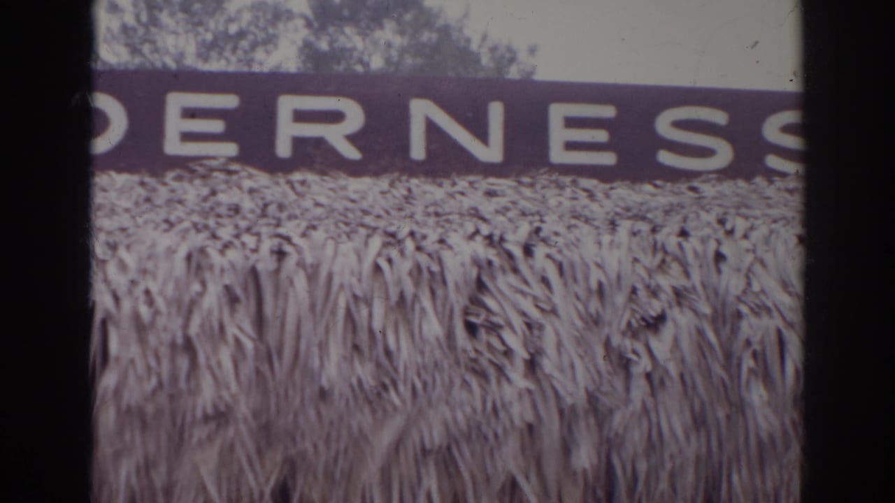 1966 Norfolk home-movie frame showing cropped white sign letters on a dark board above a textured thatched surface.