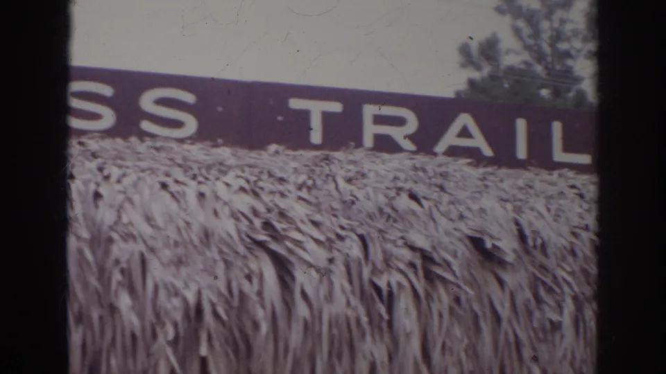 A later 1966 Norfolk frame shows partial sign wording, including TRAIL, above a textured thatched or reed surface.