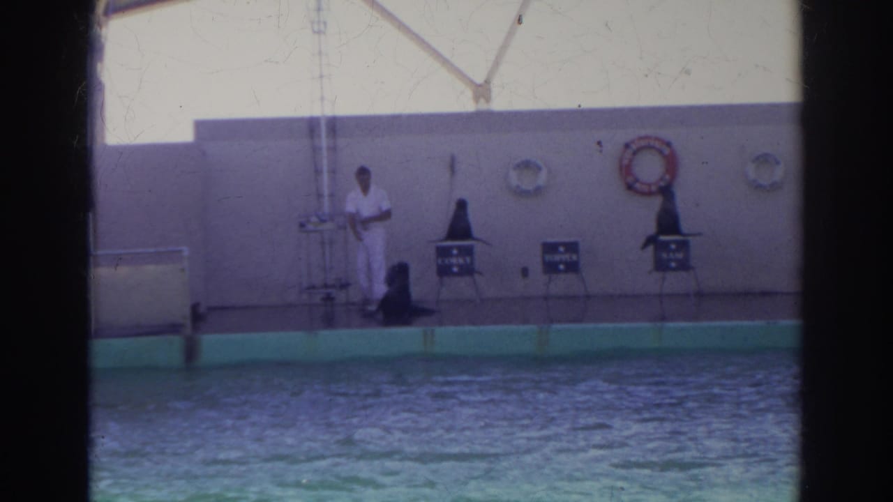 Vintage 8mm frame from Norfolk showing a trainer and sea lions arranged on a pool deck under a canopy.
