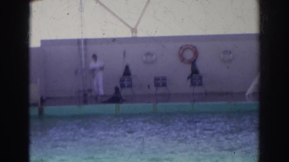 Soft 1966 Norfolk 8mm frame with a trainer in white, sea lions near stands, and pool water in the foreground.