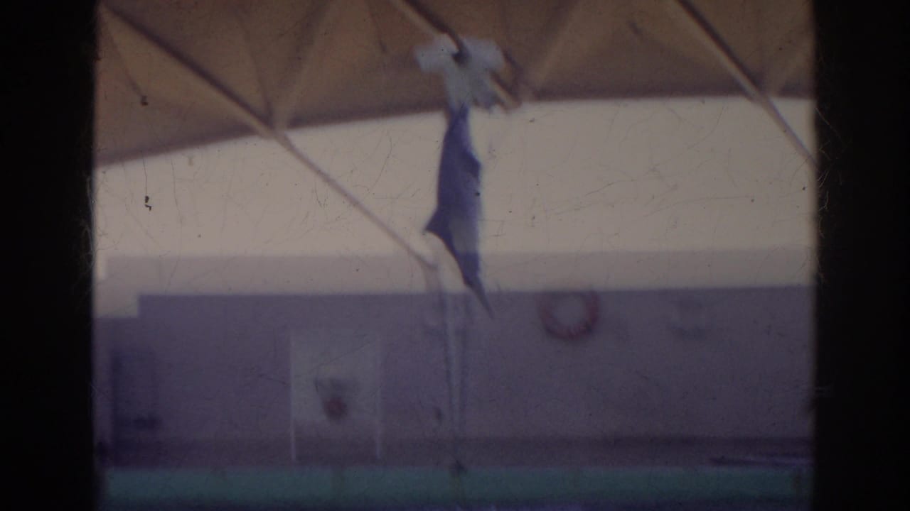 A dolphin jumps high in the air during the Norfolk, Virginia 1966 marine show, framed by an overhead canopy and pool wall.