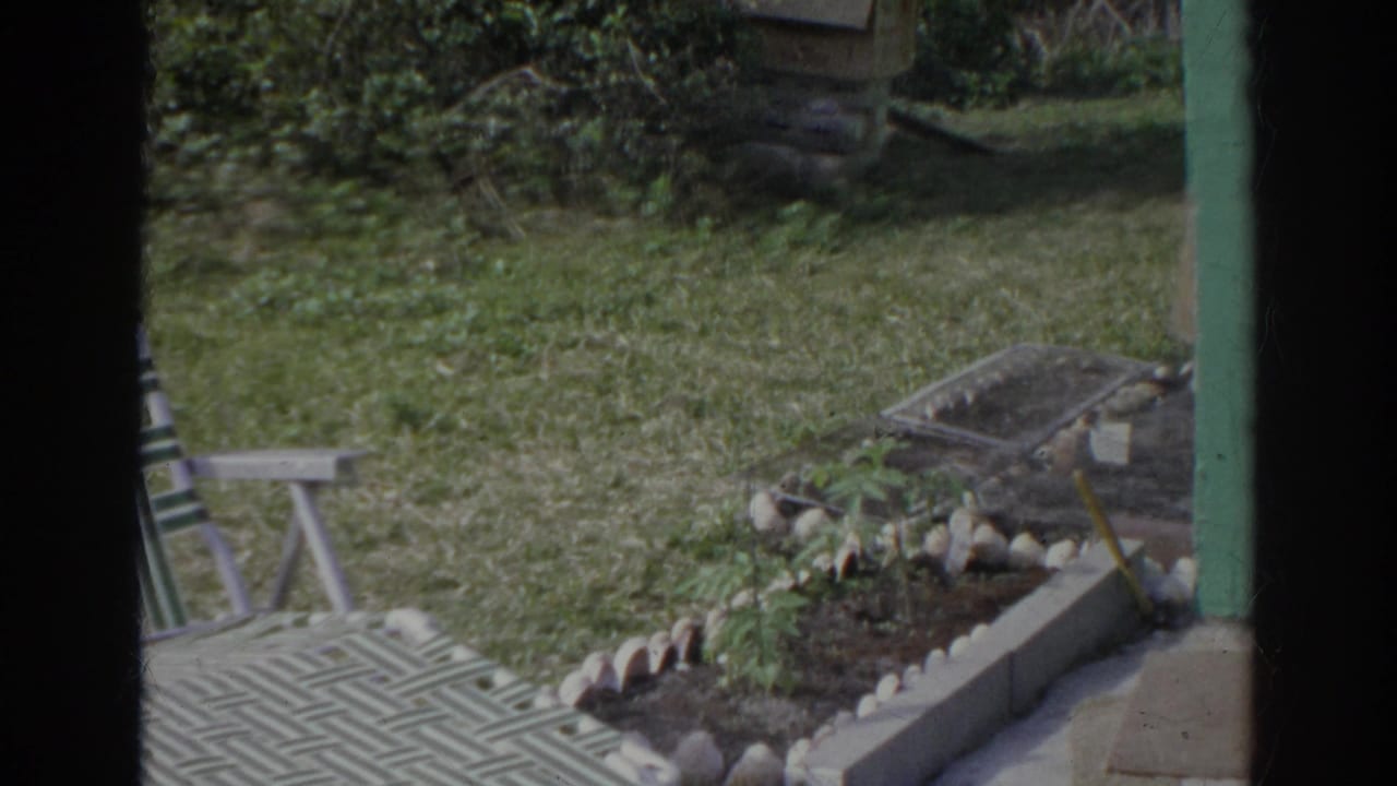 1966 Norfolk backyard view with a small garden bed, white stone border, grass, green house siding, and a lawn chair.