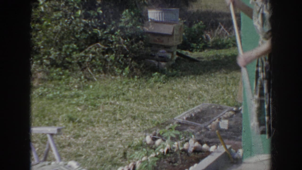 1966 Norfolk home-movie frame showing the backyard garden area beside green siding, with the woman partly entering the right edge.