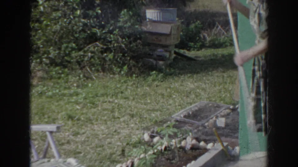 1966 Norfolk home-movie frame showing the backyard garden area beside green siding, with the woman partly entering the right edge.