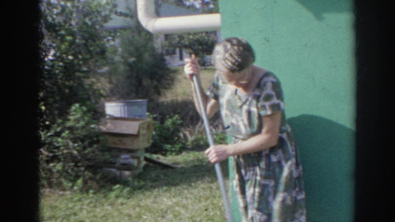 In Norfolk, Virginia, 1966, a woman in a patterned dress sweeps near a green-walled home with grass and yard objects nearby.