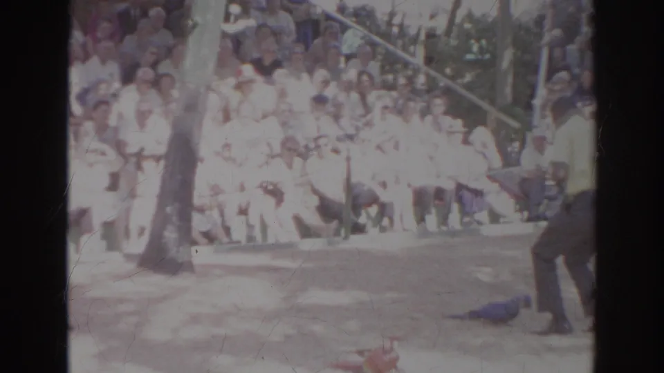 Trainer in dark trousers stands at the edge of a Norfolk bird-show stage near a blue macaw, with spectators in bleachers behind.
