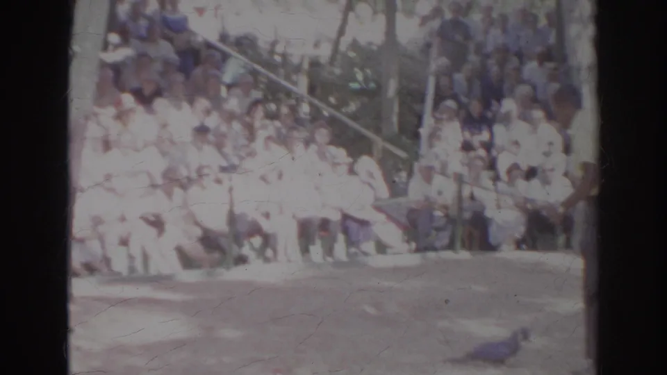 Home-movie view of spectators seated behind a dirt bird-show area, with a blue macaw partly visible near the foreground.