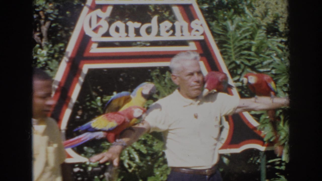 A white-shirted man poses at Busch Gardens in Norfolk with colorful macaws on his arms and shoulder while an employee moves out of frame.