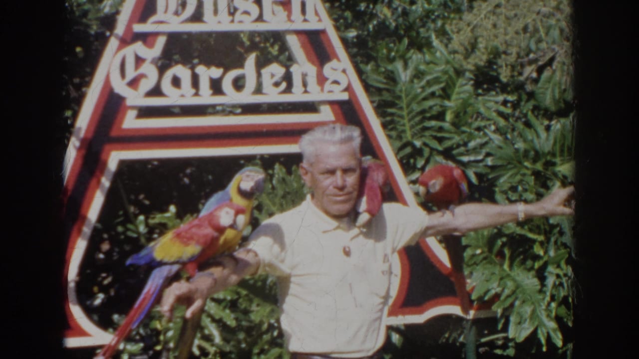 In the clearest frame, the man stands before the Busch Gardens sign with three macaws perched on his arms and shoulder in bright 1966 sunlight.