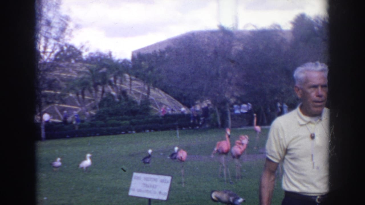 Man in a yellow polo stands beside flamingos in a grassy zoo exhibit area.