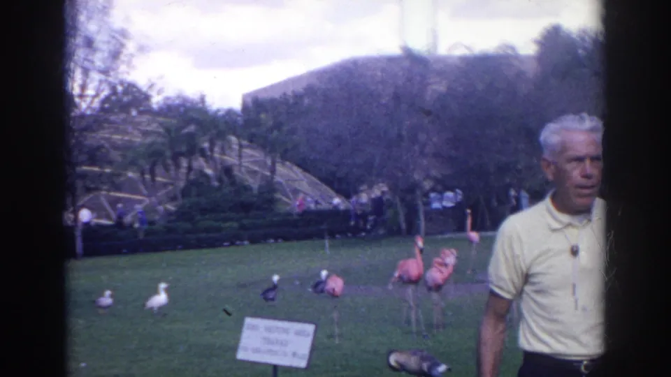In Norfolk, Virginia in 1966, a man in a yellow polo stands near flamingos, visitors, a sign, and landscaped zoo grounds.