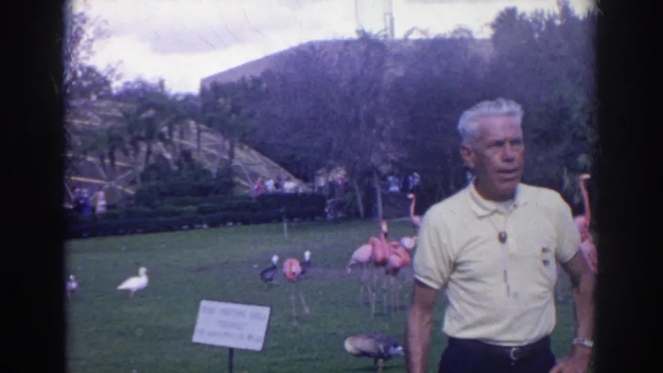 A man poses at the Norfolk zoo flamingo area in 1966, with birds, a sign, visitors, and garden paths behind him.