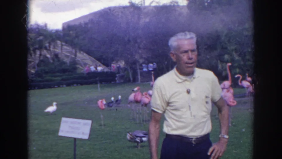 The 1966 Norfolk zoo scene shows the man posing near flamingos, a small sign, lawn, and landscaped visitor paths.