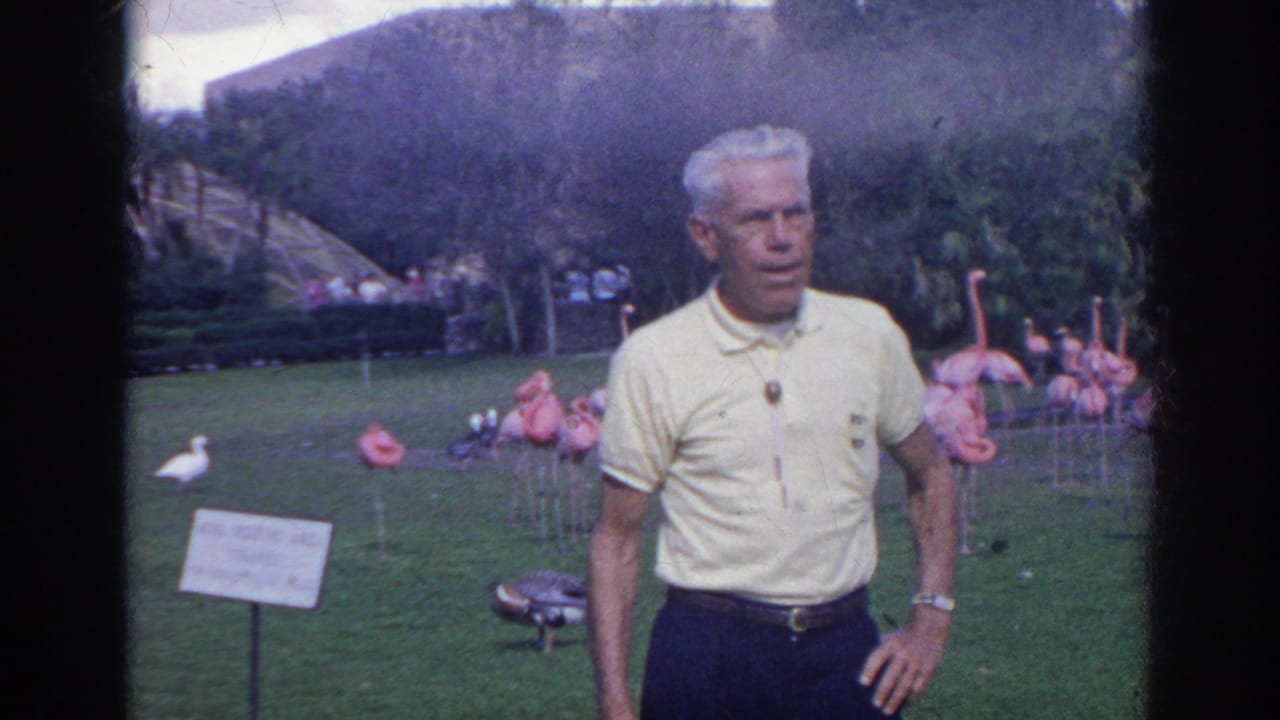 Man in a yellow polo stands on grass with flamingos and garden planting behind him.