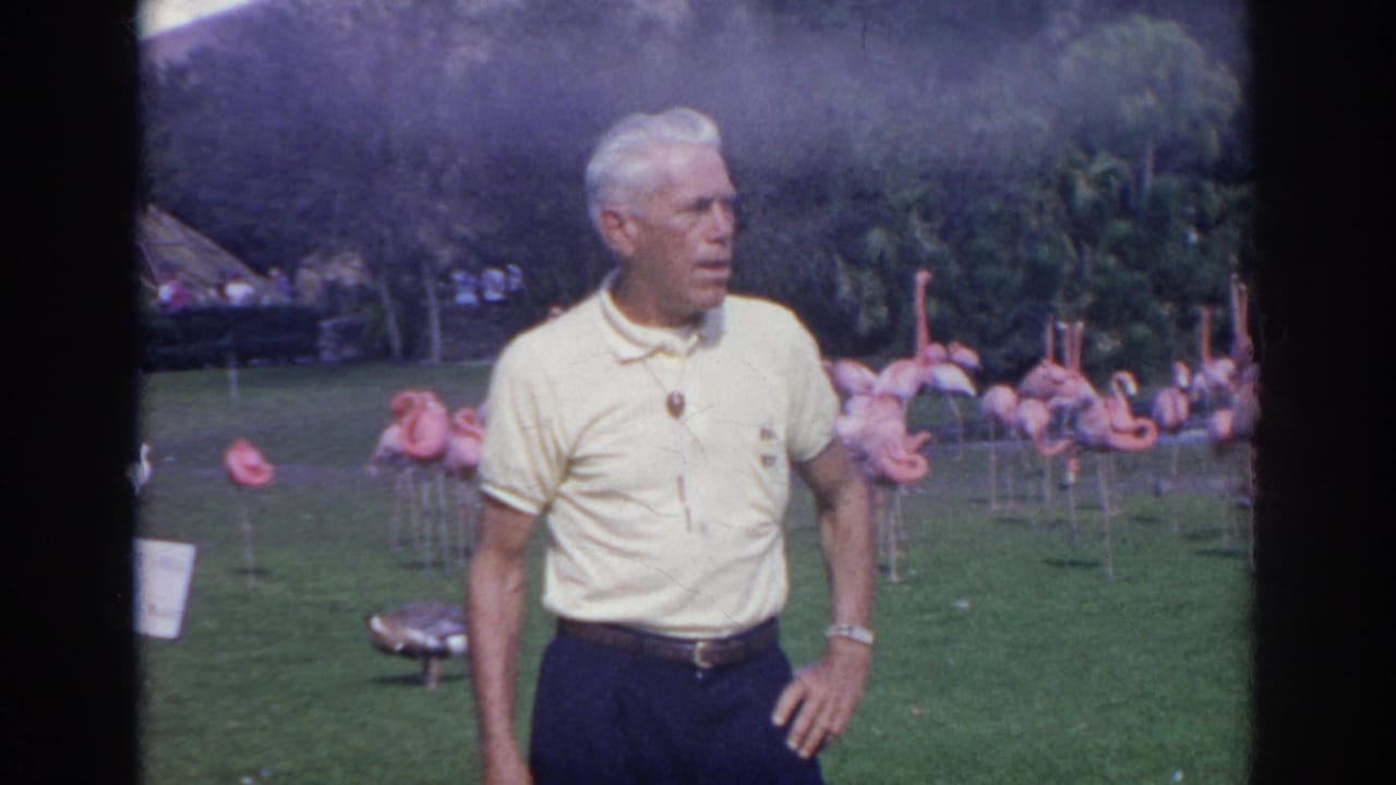 Man looks to the side while standing before flamingos in a garden enclosure.