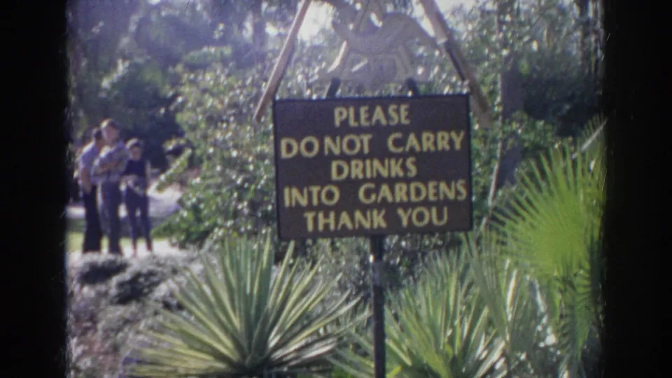 1966 Norfolk garden view with a brown notice sign about drinks, spiky plants, shrubs, and visitors in the background.