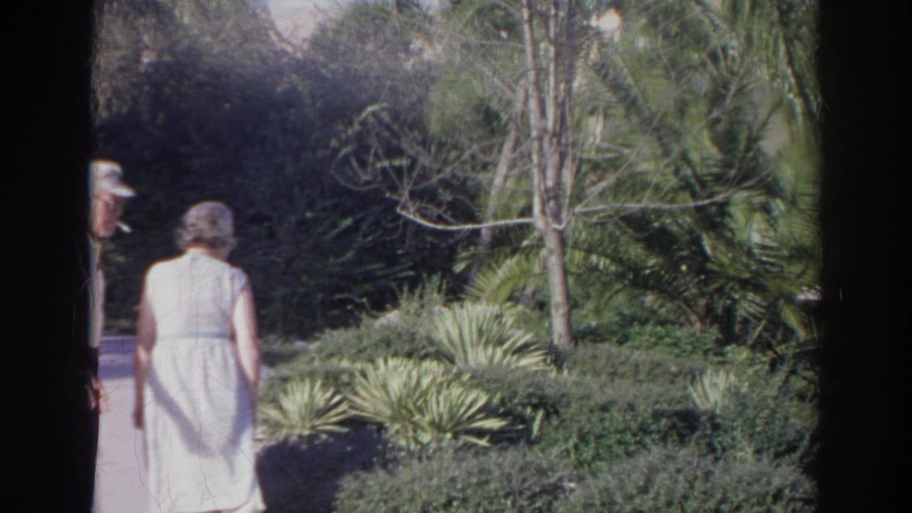 Two women walking away on a paved garden path beside dense shrubs and palms.