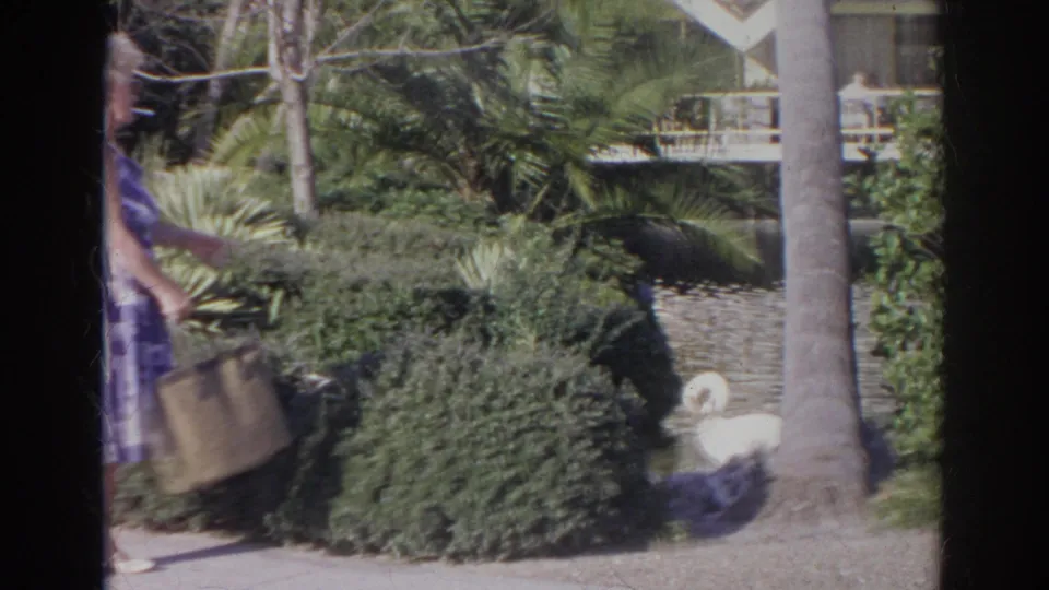 The woman in the purple dress moves near dense plantings while a white swan is visible close to the landscaped water area.