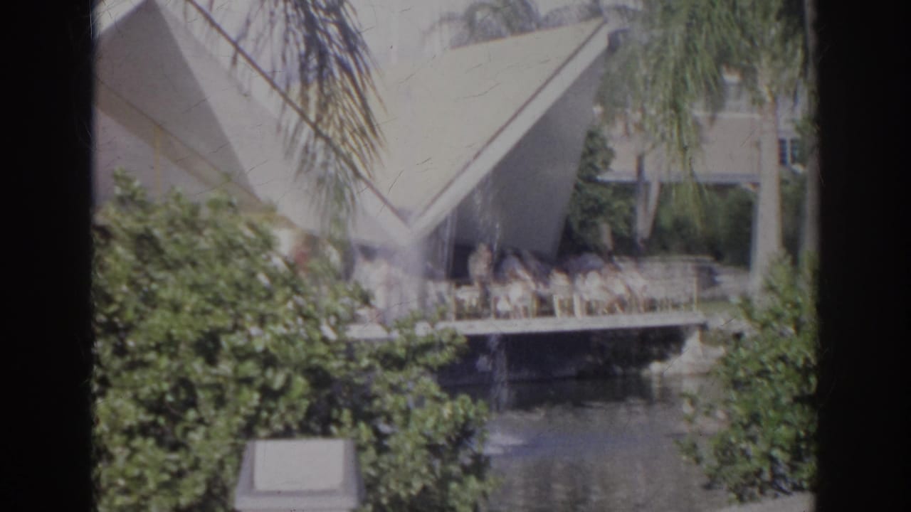 Garden pond with swans and ducks near shrubs and an angular-roof building.