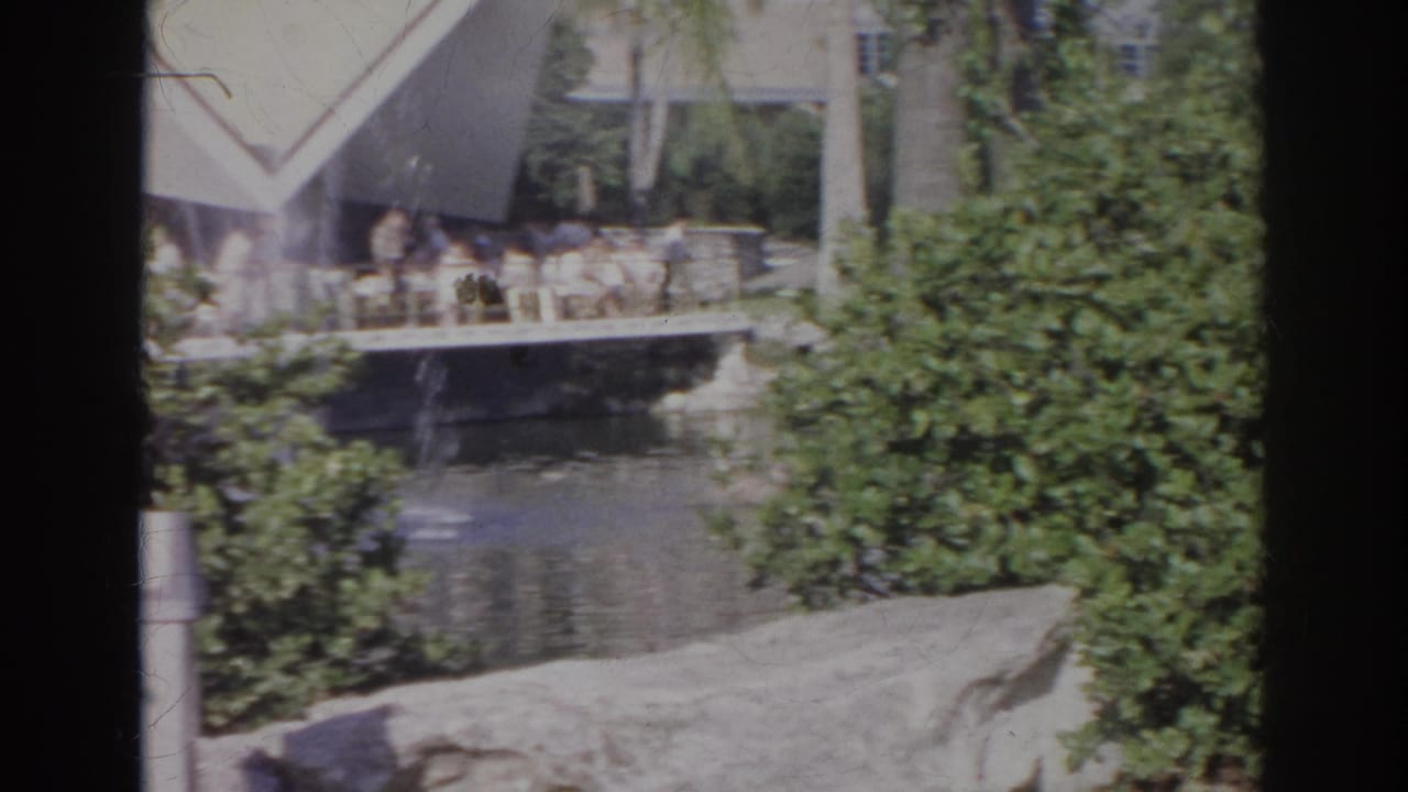 Swans and ducks on a landscaped pond below an angular-roof building.