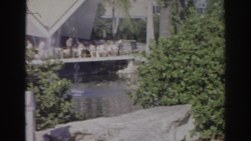1966 Norfolk frame with swans and ducks moving across a pond framed by shrubs, palms, stonework, and an angular-roof structure.