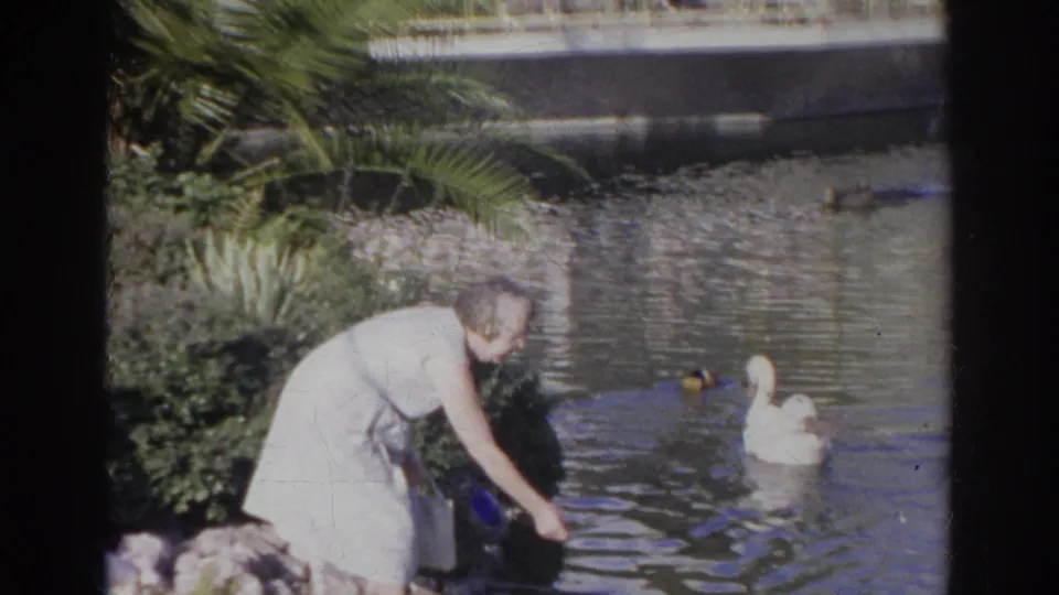 1966 Norfolk home-movie frame showing an elderly woman in a light dress bending near a garden pond as swans and ducks gather close by.