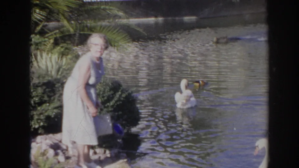 1966 Norfolk frame showing an elderly woman standing at a garden pond with a white swan and ducks in front of shrubs and rippled water.