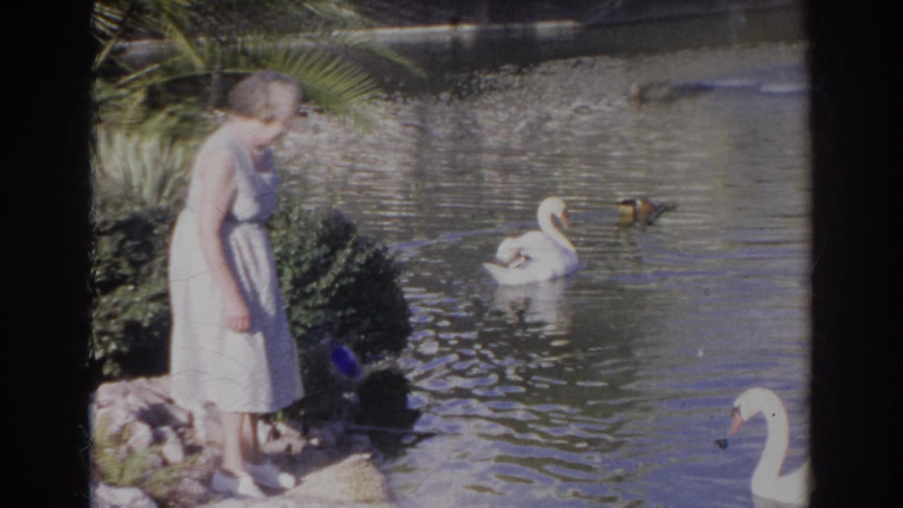 In 1966 Norfolk, Virginia, a woman in a light dress stands by the water as swans and ducks move across the lake.