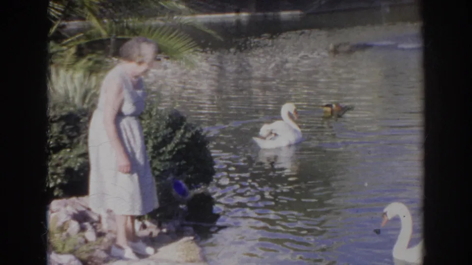 In 1966 Norfolk, Virginia, a woman in a light dress stands by the water as swans and ducks move across the lake.