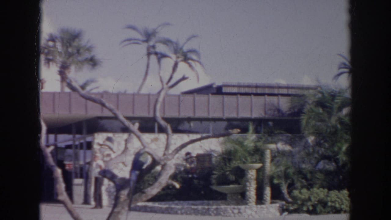 Modern building entrance behind bare tree branches, palms, lawn, and a perched bird.