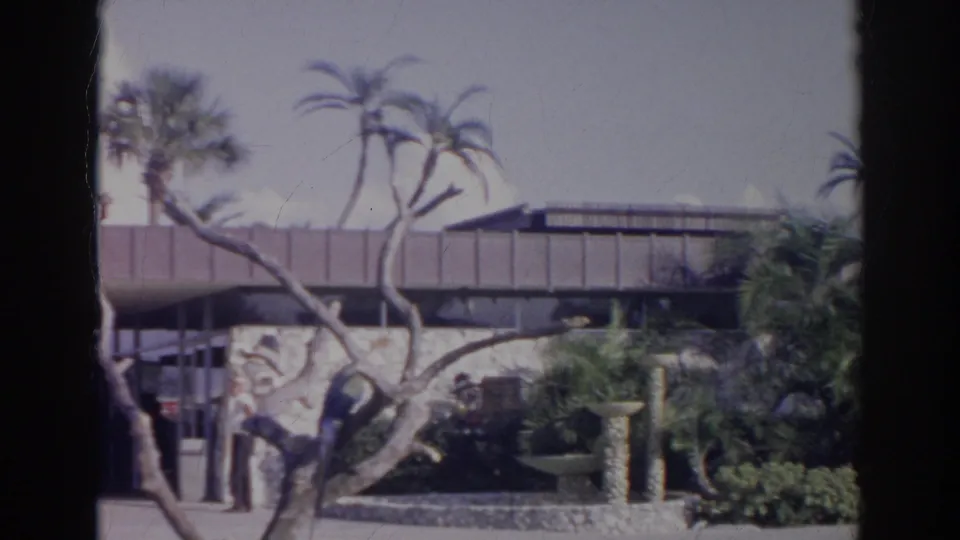 1966 Norfolk home-movie frame showing a modern landscaped building with tree branches, palms, walkway, and a bird perched above.