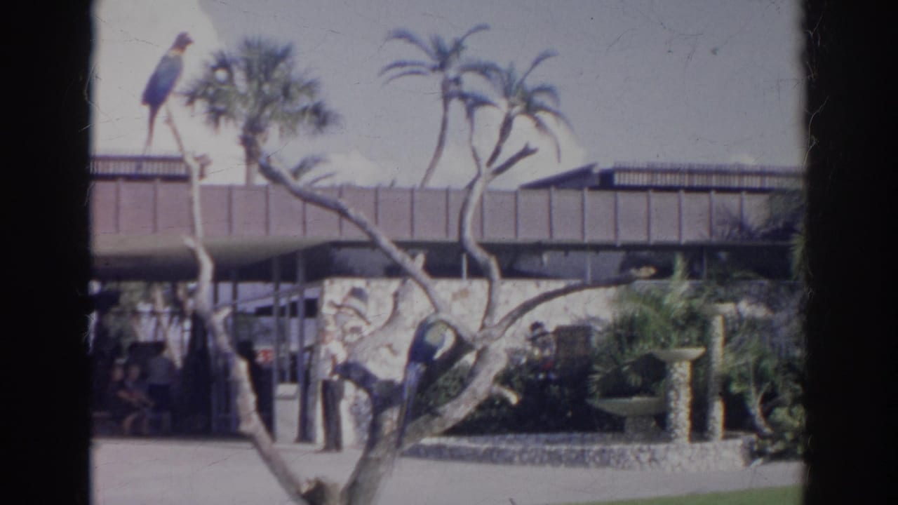 Perched bird above a landscaped building entrance with trees and visitors below.