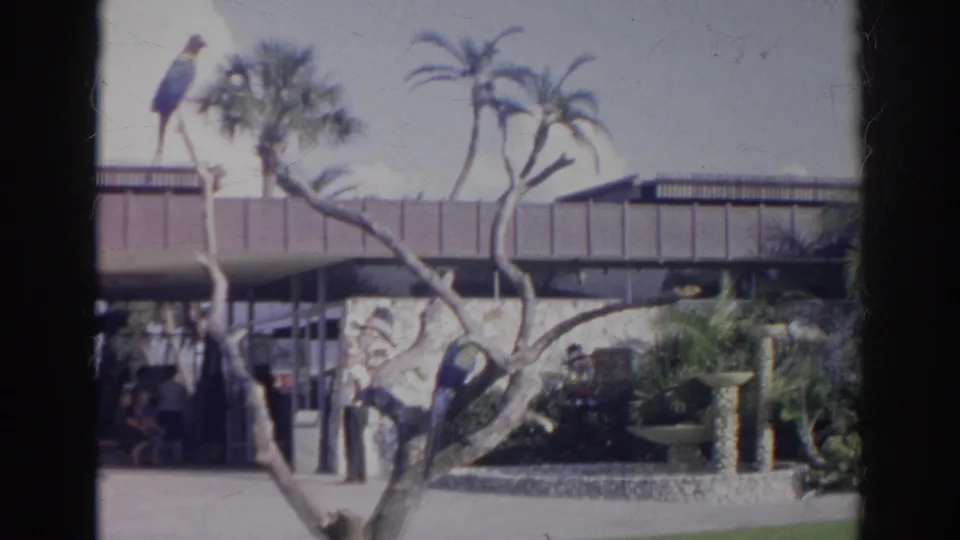 1966 Norfolk 8mm frame with a bird perched over a modern building entrance, tropical planting, and people near the doorway.