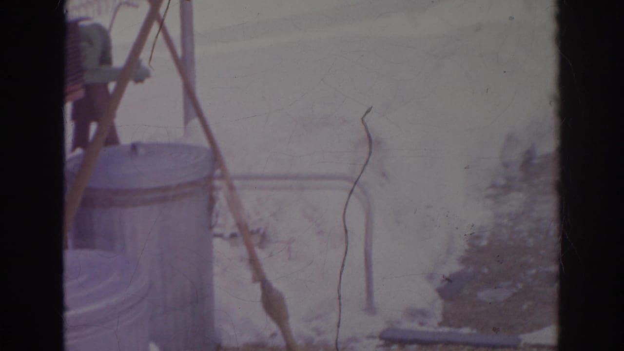 Snow-covered yard with a metal trash can, broom, fence, and house edge.