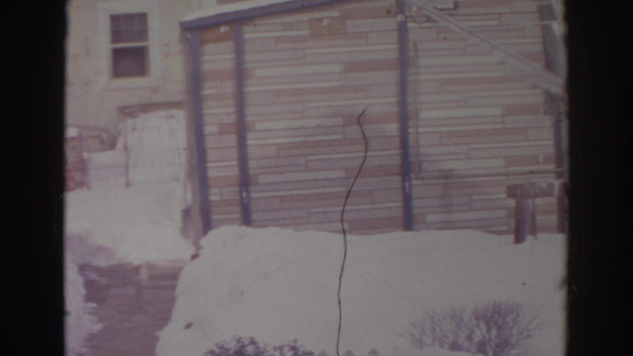 Residential Norfolk snow scene with a small outbuilding, deep snowbanks, a cleared walkway, and house windows in the background.